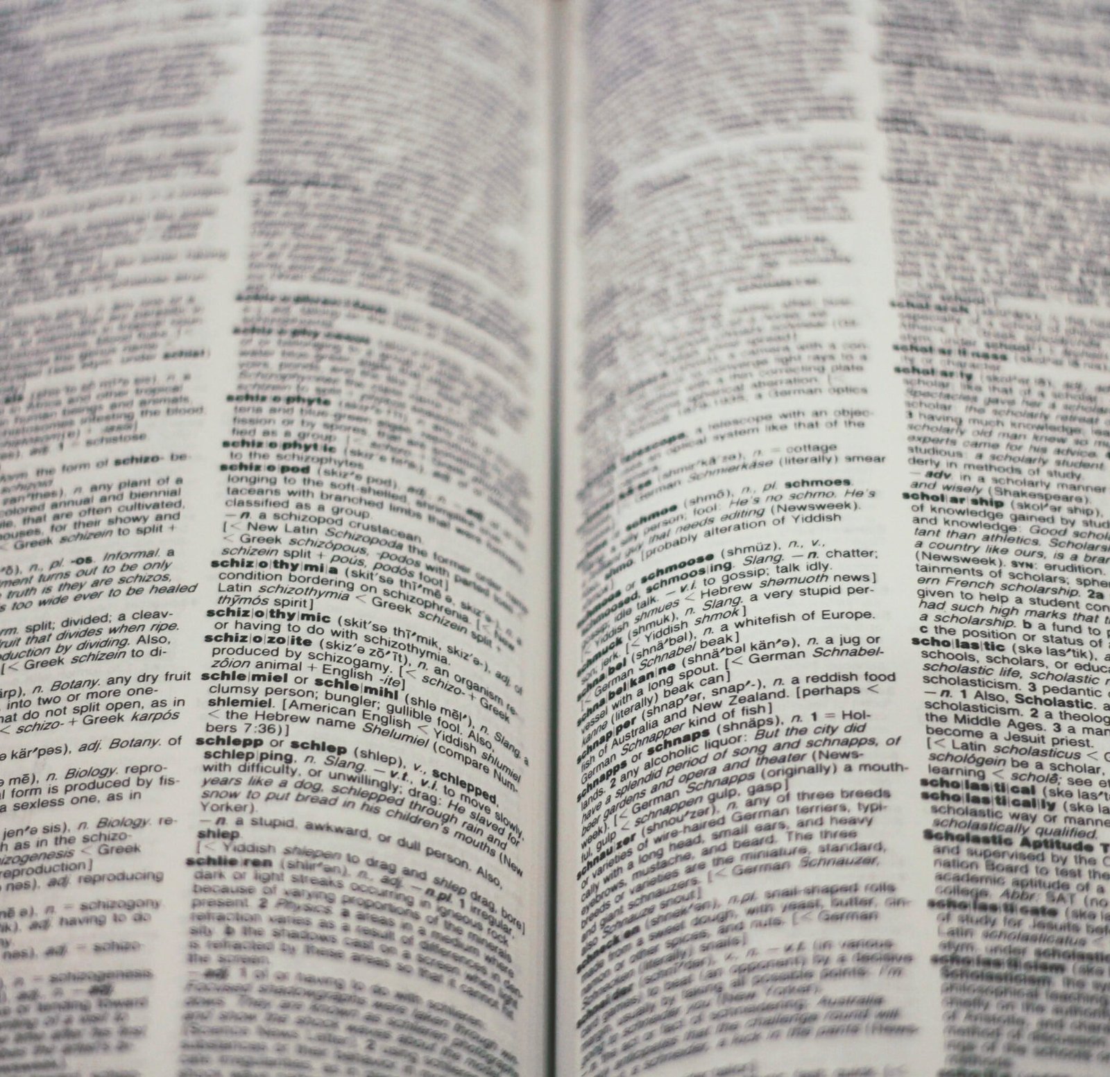 joshua-hoehne-YPgTovTiUv4-unsplash_2-scaled-e1696446735273.jpg joshua-hoehne-YPgTovTiUv4-unsplash_2-scaled-e1696446735273.jpg